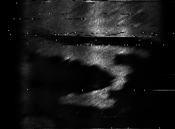 ascat_grayscale_ch2.png